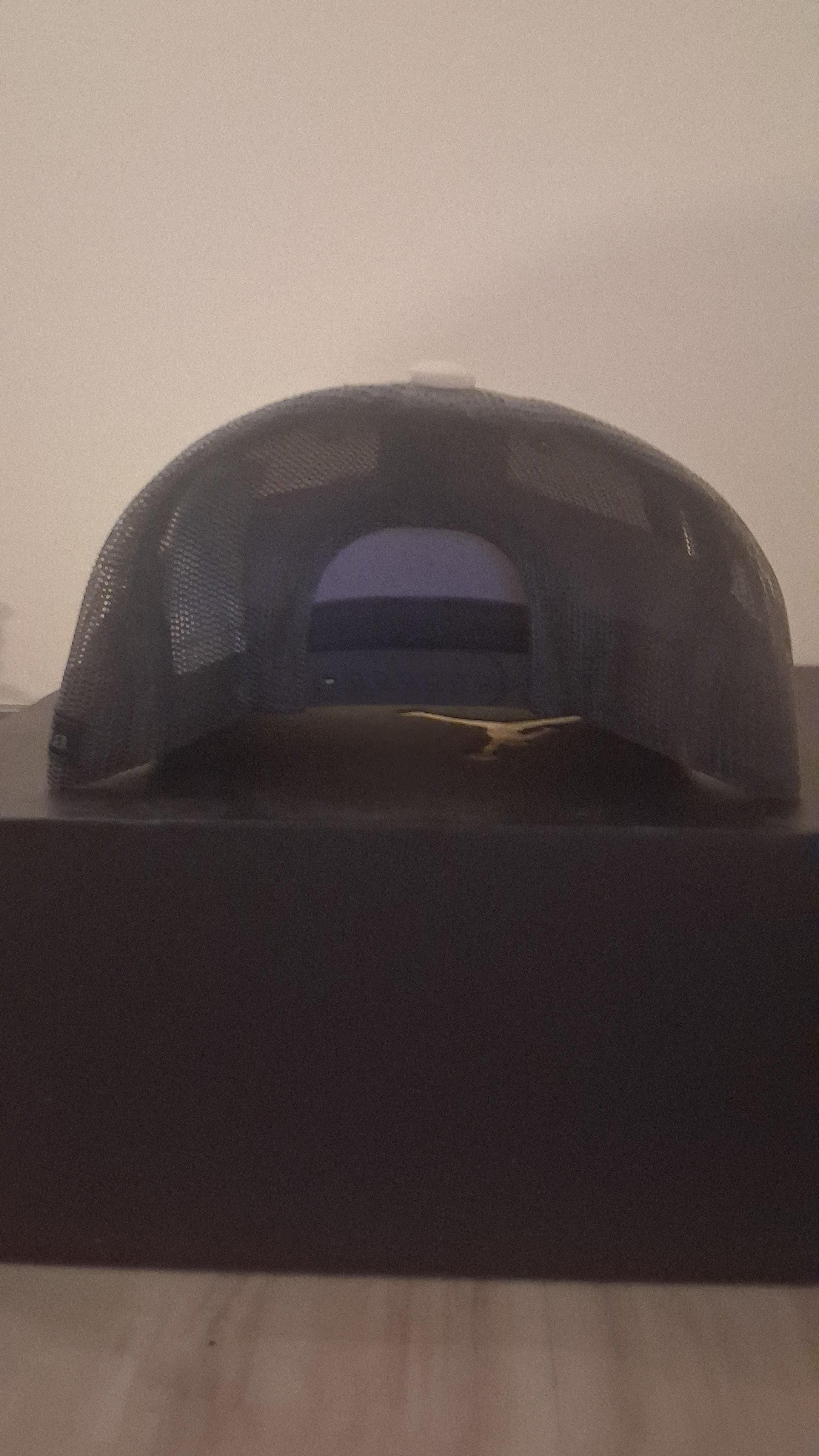 New columbia snapback, no tags
